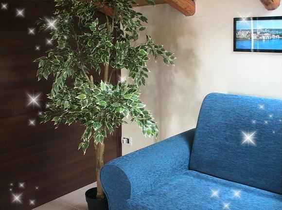 B&B Suite Viagrande Eksteriør bilde